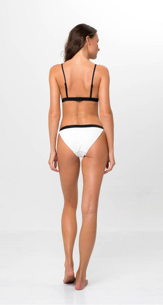 SWAN BAND BRIEF