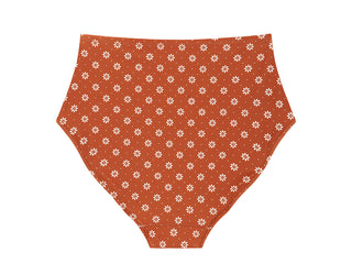 TERRA HIGH BRIEF