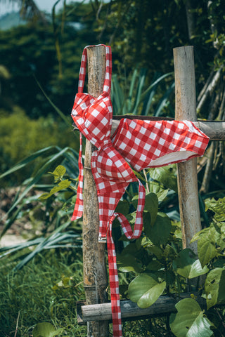 BERRY CRUSH UNDER WIRE TOP