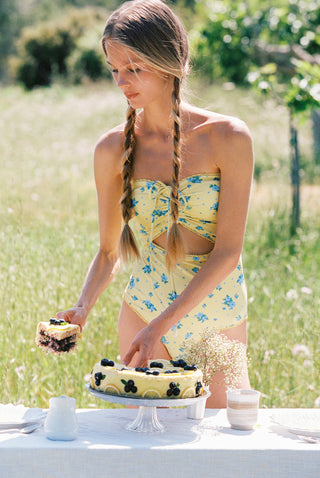 SWEET BRIAR HALTER ONEPIECE